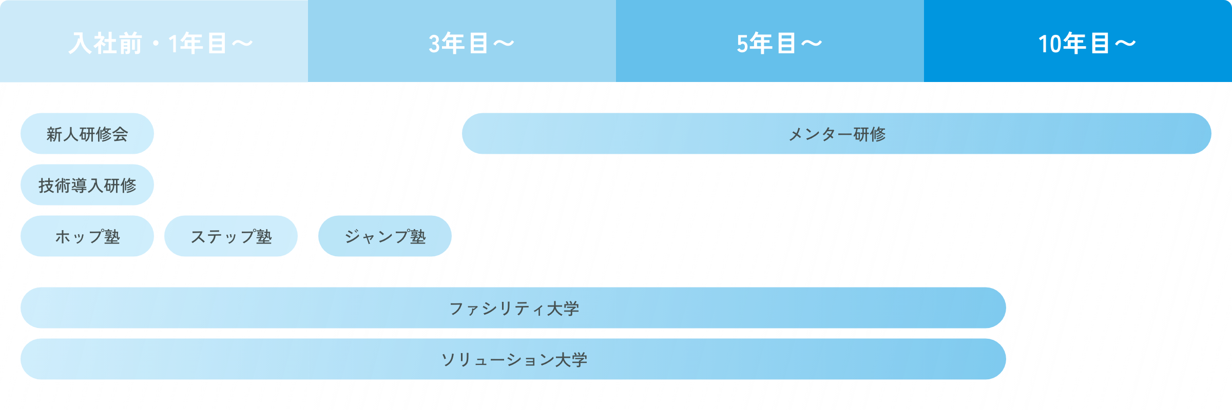 画像:研修制度・勉強会